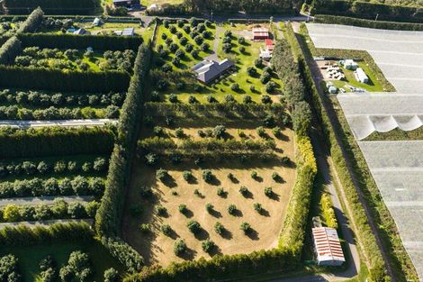 Photo of property in 55 Pine Ridge Lane, Aongatete, Katikati, 3181