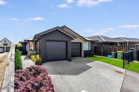 Photo of property in 14u2 Mitcham Avenue, Forest Lake, Hamilton, 3200