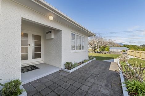 Photo of property in 223 Huatoki Street, Upper Vogeltown, New Plymouth, 4310