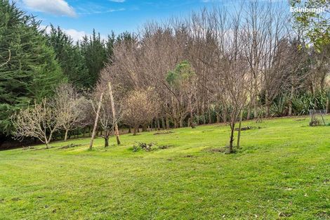 Photo of property in 49 Raynbird Street, Company Bay, Dunedin, 9014