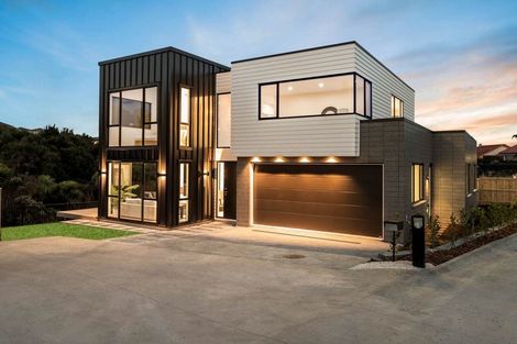 Photo of property in 16 Mcmenamin Place, Fairview Heights, Auckland, 0632