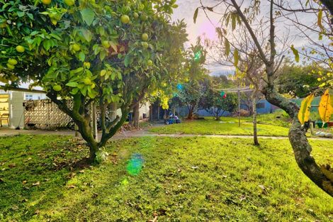 Photo of property in 54 Geddis Avenue, Maraenui, Napier, 4110