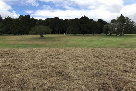 Photo of property in 42 Lochiel Place, Te Kamo, Whangarei, 0112