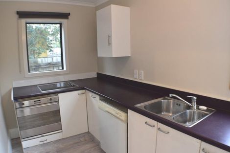 Photo of property in 15 Newcastle Street, Phillipstown, Christchurch, 8011