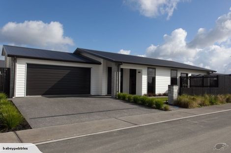 Photo of property in 21 Medway Place, Chartwell, Hamilton, 3210