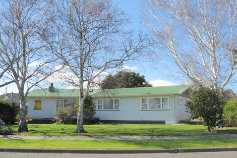 Photo of property in 15 Kitchener Street, Wairoa, 4108