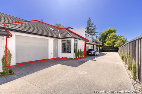 Photo of property in 17u3 Manning Street, Hamilton Central, Hamilton, 3204