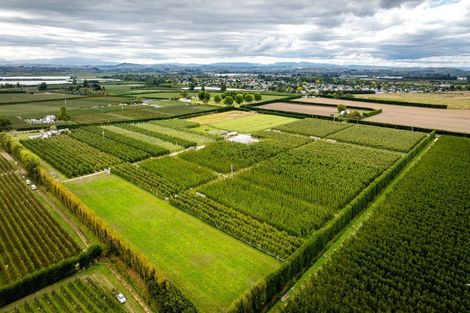 Photo of property in 5 Feltwell Place, Mangere Bridge, Auckland, 2022