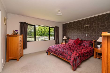 Photo of property in 13 Pukematawai Lane, Levin, 5571