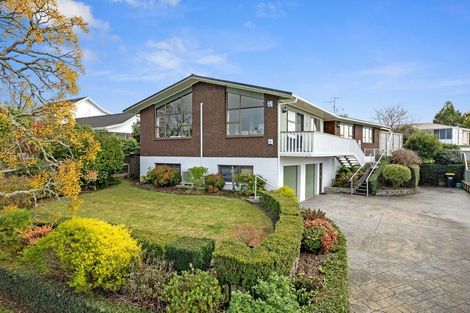 Photo of property in 40 Deanna Avenue, Morrinsville, 3300