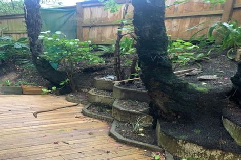 Photo of property in 9 Birdwood Street, Karori, Wellington, 6012