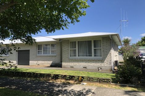 Photo of property in 149 Winchester Street, Levin, 5510