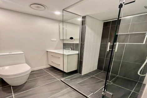 Photo of property in Vsp South, 806/168u Victoria Street, Te Aro, Wellington, 6011