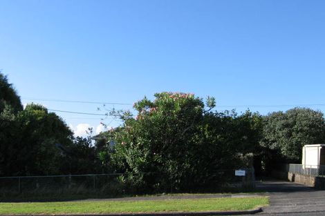 Photo of property in 10 Islington Avenue, New Lynn, Auckland, 0600