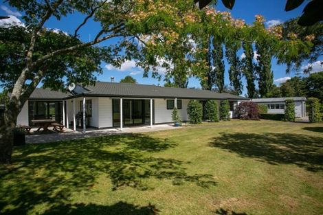 Photo of property in 48 Peake Road, Cambridge, Hamilton, 3283