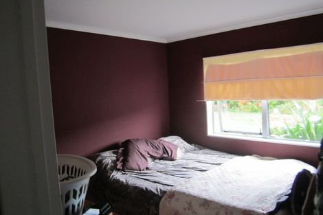 Photo of property in 273 Chepmell Road, Morrinsville, 3371