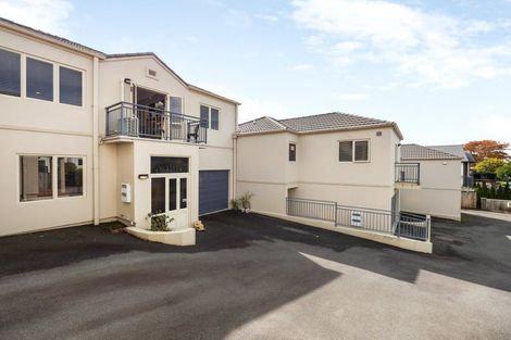Photo of property in 22c Hunter Street, Hamilton Lake, Hamilton, 3204