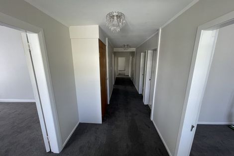 Photo of property in 133 Constable Street, Newtown, Wellington, 6021