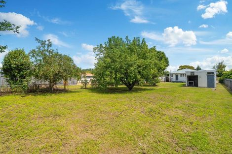 Photo of property in 95 Herbert Street, Masterton, 5810