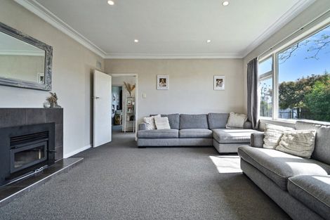 Photo of property in 700 Frederick Street, Mahora, Hastings, 4120