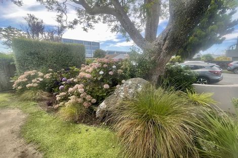 Photo of property in 4/28 Third Avenue, Tauranga, 3110