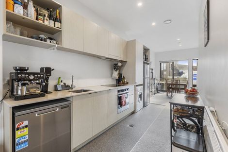 Photo of property in Aniva Terrace, 14 Arney Street, Newtown, Wellington, 6021