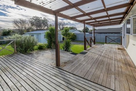 Photo of property in 45 Winchester Street, Levin, 5510