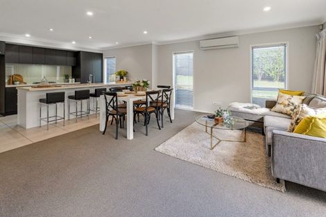 Photo of property in 75 Argento Avenue, Flat Bush, Auckland, 2019
