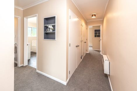 Photo of property in 72 Treadwell Street, Springvale, Whanganui, 4501