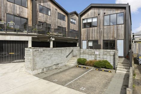 Photo of property in Aniva Terrace, 12 Arney Street, Newtown, Wellington, 6021