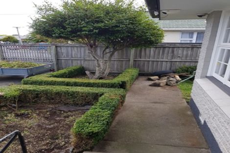 Photo of property in 8 Coniston Avenue, Ilam, Christchurch, 8041