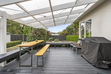 Photo of property in 125 Jickell Street, Hokowhitu, Palmerston North, 4410