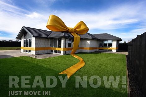 Photo of property in 12 Crawford Lane, Morrinsville, 3300