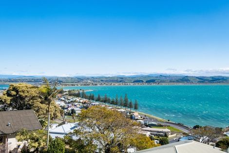 Photo of property in 25a Seapoint Road, Bluff Hill, Napier, 4110
