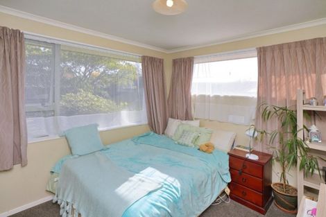 Photo of property in 238 Kingsbury Avenue, Rangiora, 7400