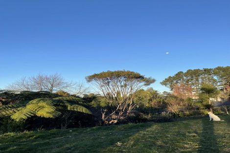 Photo of property in 138 Minden Road, Minden, Tauranga, 3176