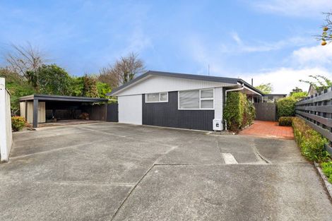 Photo of property in 50 Windsor Street, Terrace End, Palmerston North, 4410