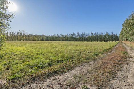 Photo of property in 599 Pesters Road, West Eyreton, 7475
