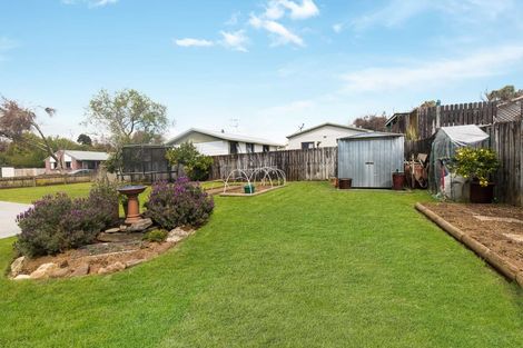 Photo of property in 179 Finch Street, Te Awamutu, 3800