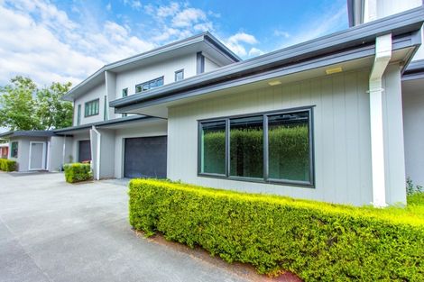 Photo of property in 11unit Larch Street, Victoria, Rotorua, 3010