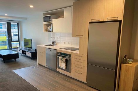 Photo of property in Vsp South, 601/166u Victoria Street, Te Aro, Wellington, 6011