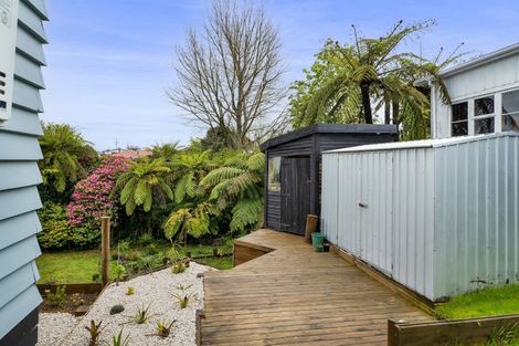 Photo of property in 43 Seyton Street, Stratford, 4332