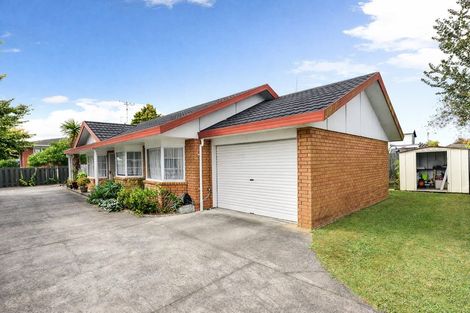 Photo of property in 14 Darley Street, Maeroa, Hamilton, 3200