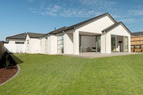 Photo of property in 39 Glenpark Crescent, Bethlehem, Tauranga, 3110