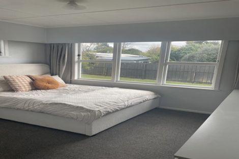 Photo of property in 41 Fitzroy Avenue, Fitzroy, Hamilton, 3206