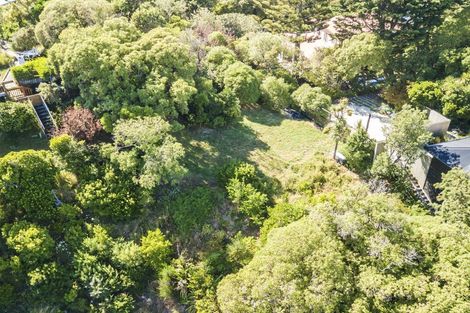 Photo of property in 13 Twomey Grove, Houghton Bay, Wellington, 6023