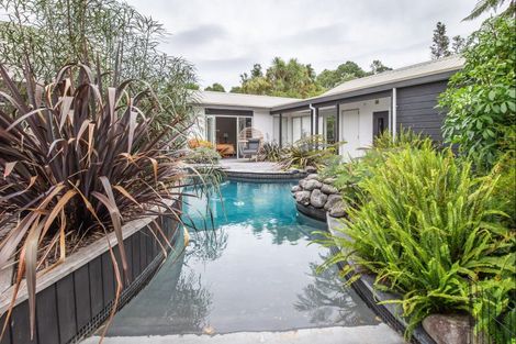Photo of property in 43 Redwood Grove, Levin, 5571