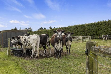 Photo of property in 82 Clear View Lane, Swannanoa, Rangiora, 7475
