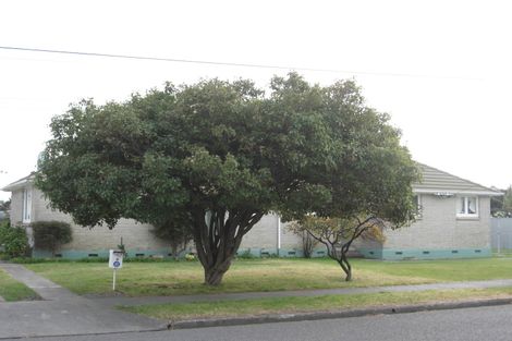 Photo of property in 4 Hurst Avenue, Maraenui, Napier, 4110