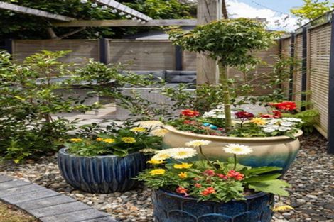 Photo of property in 5/64 Hamilton Road, Cambridge, 3434